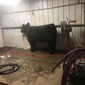 Meet your Posher, Ned